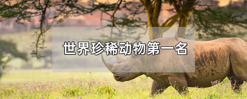 世界珍稀动物第一名