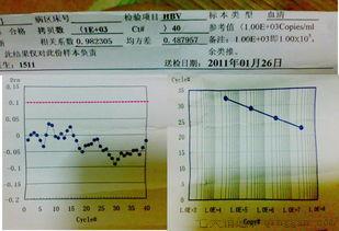 hbv-dna正常值是多少