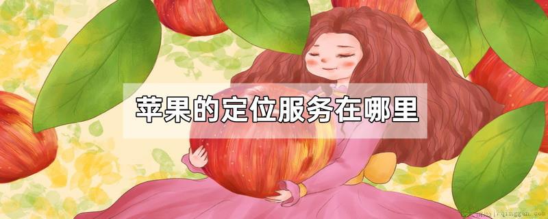 苹果的定位服务在哪里