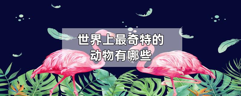 世界上最奇特的动物有哪些