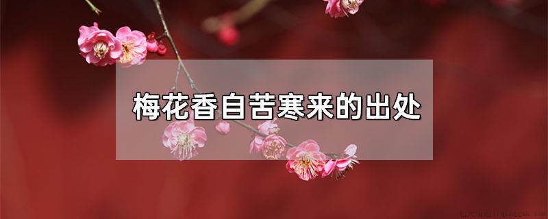 梅花香自苦寒来的出处