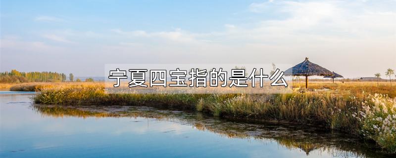 宁夏四宝指的是什么