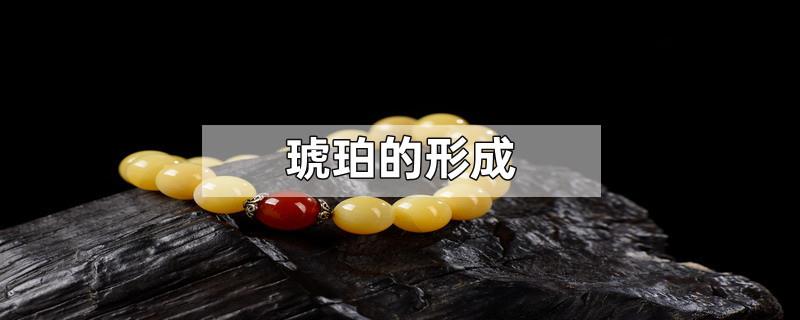 琥珀的形成