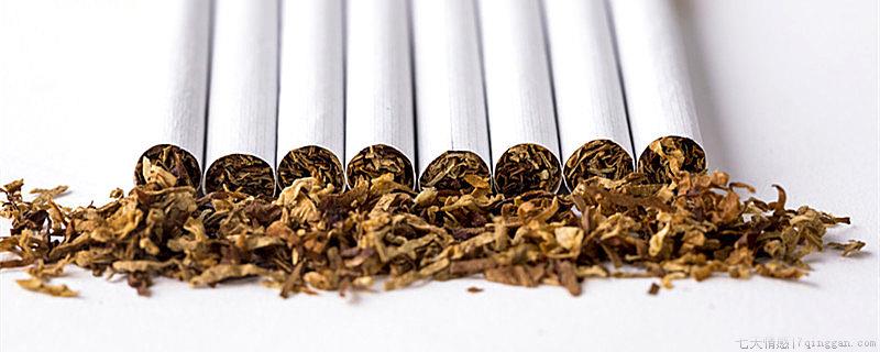 香烟不拆封能放多久