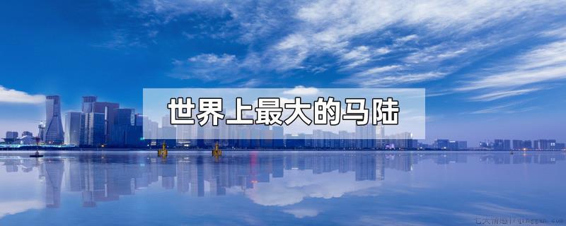 世界上最大的马陆