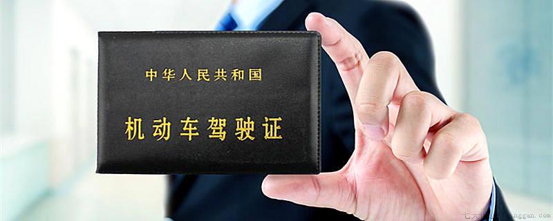 a1驾照能开什么车