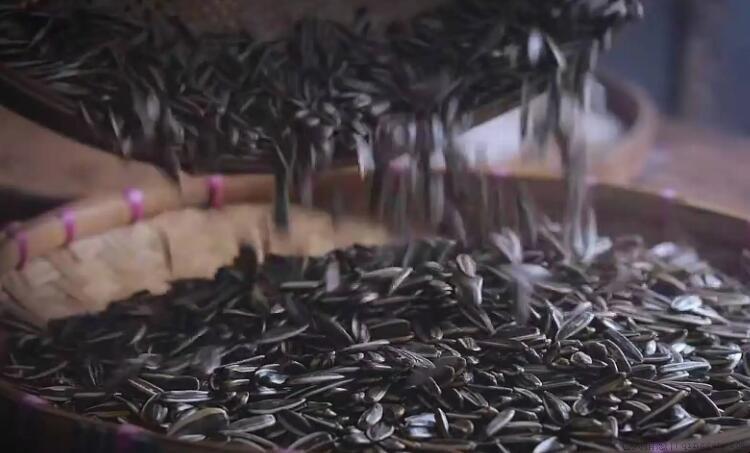 炒瓜子的热量是多少