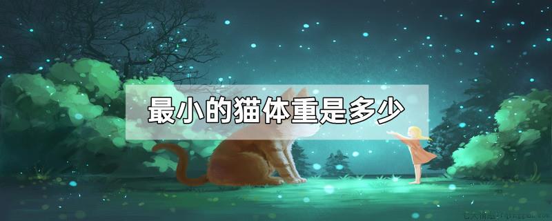 最小的猫体重是多少