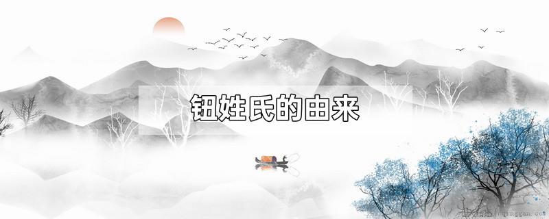 钮姓氏的由来
