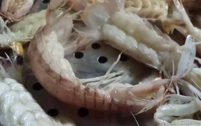 皮皮虾蒸几分钟最好