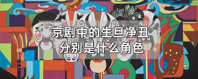 京剧中的生旦净丑分别是什么角色