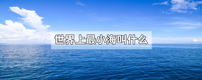世界上最小海叫什么
