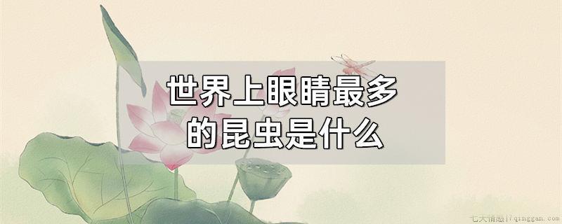 世界上眼睛最多的昆虫是什么