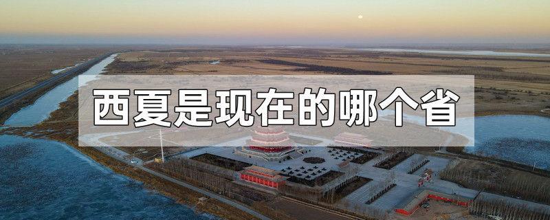 西夏是现在的哪个省