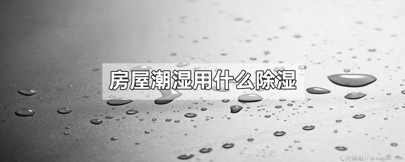 房屋潮湿用什么除湿
