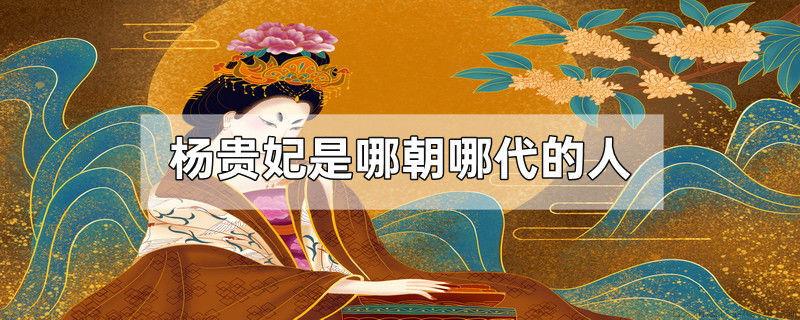 杨贵妃是哪朝哪代的人