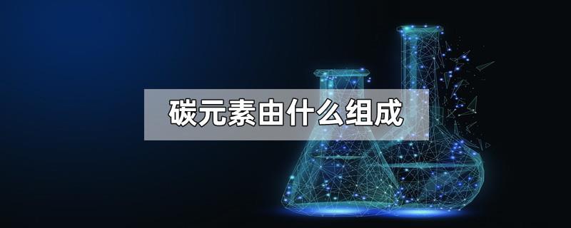 碳元素由什么组成