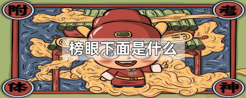 榜眼下面是什么