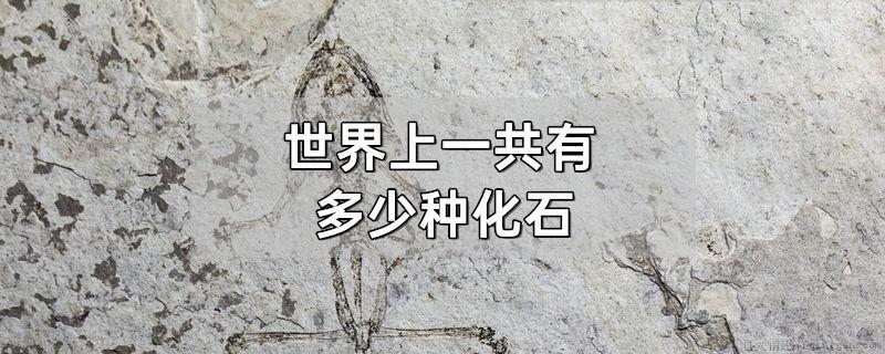 世界上一共有多少种化石