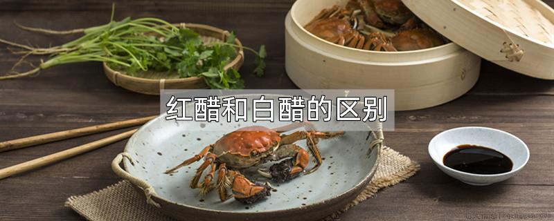 红醋和白醋的区别