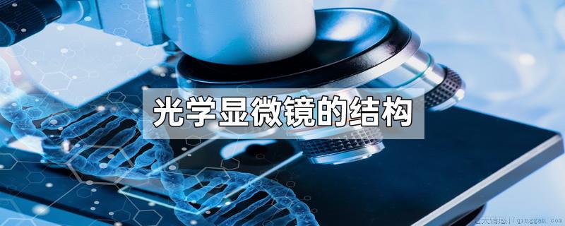 光学显微镜的结构