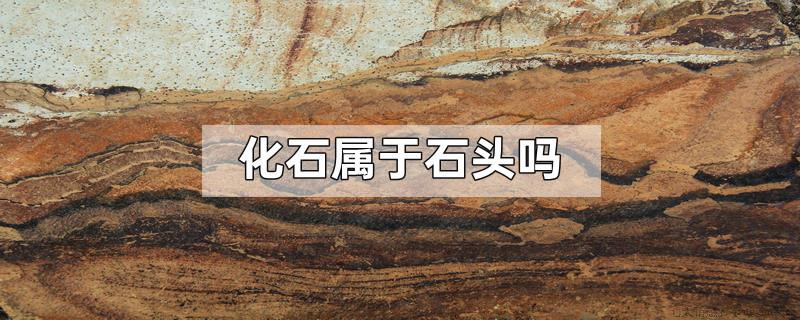 化石属于石头吗