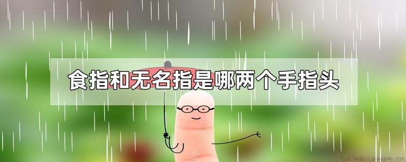 食指和无名指是哪两个手指头