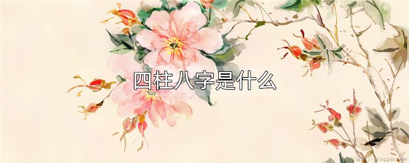 四柱八字是什么