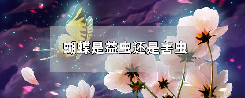 蝴蝶是益虫还是害虫