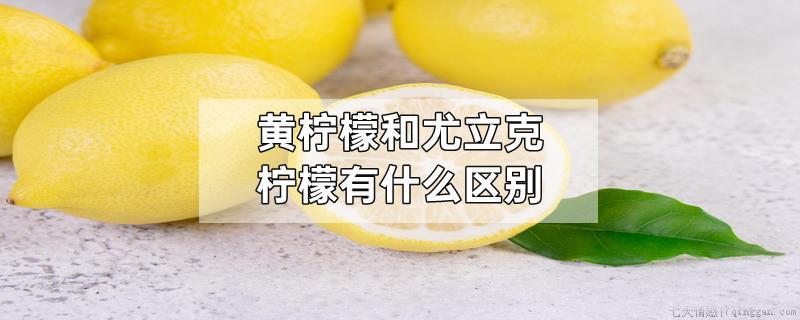 黄柠檬和尤立克柠檬有什么区别