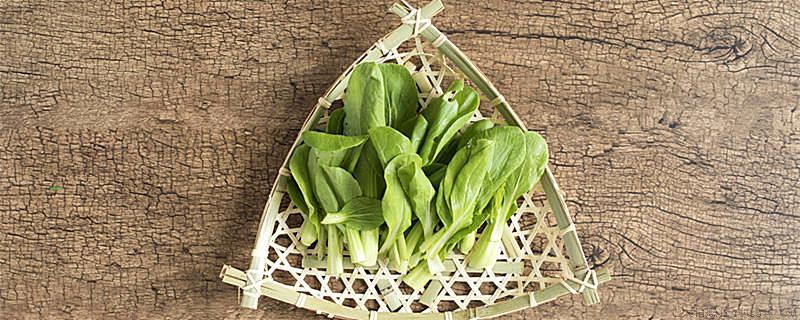 鸡毛菜是什么菜