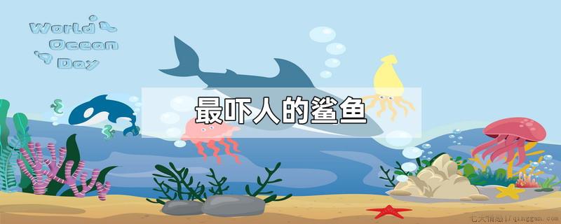 最吓人的鲨鱼