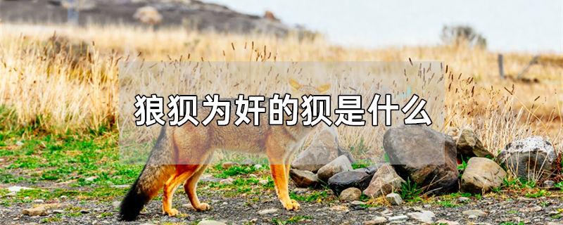 狼狈为奸的狈是什么