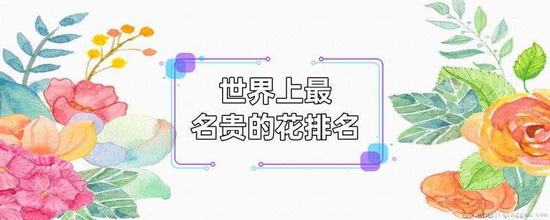 世界上最名贵的花排名