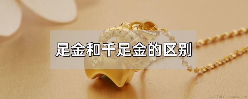 足金和千足金的区别