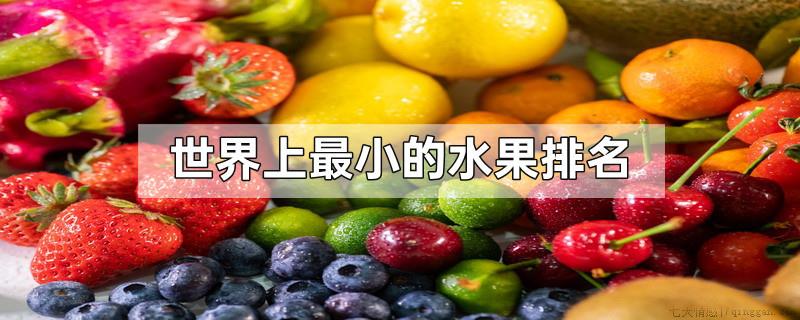 世界上最小的水果排名