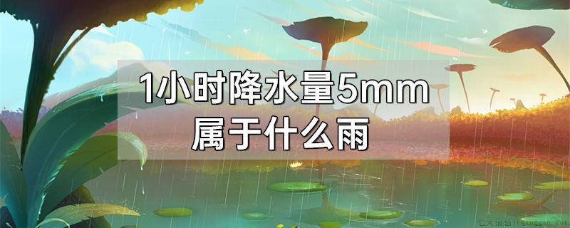 1小时降水量5mm属于什么雨