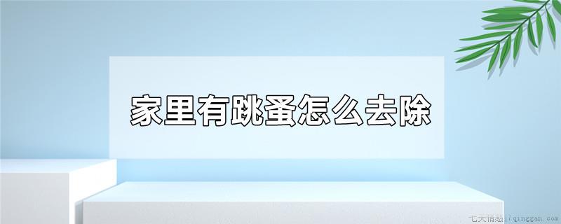 家里有跳蚤怎么去除