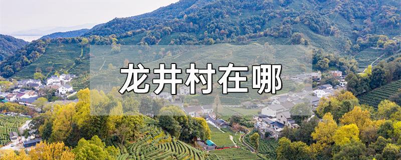 龙井村在哪