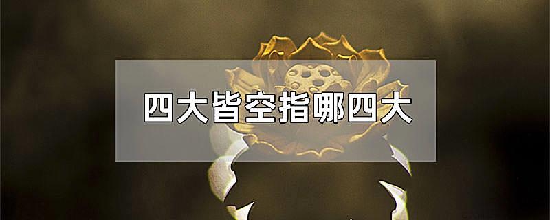 四大皆空指哪四大