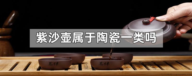 紫沙壶属于陶瓷一类吗