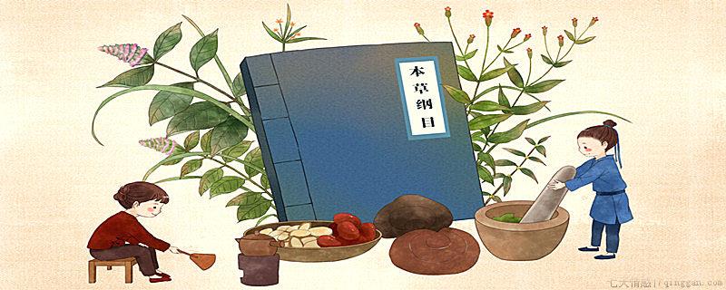 本草纲目的作者是谁