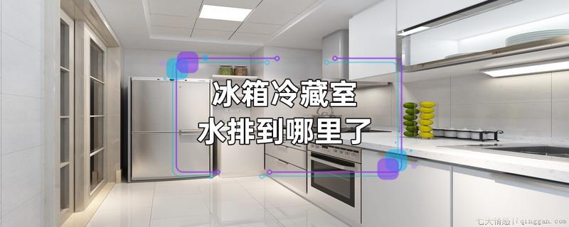 冰箱冷藏室水排到哪里了