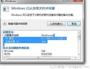 BlueScreen是什么意思