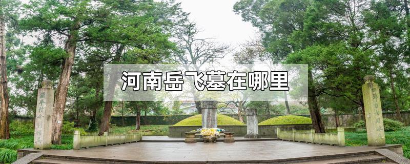 河南岳飞墓在哪里