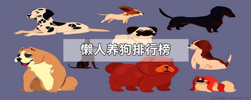 懒人养狗排行榜