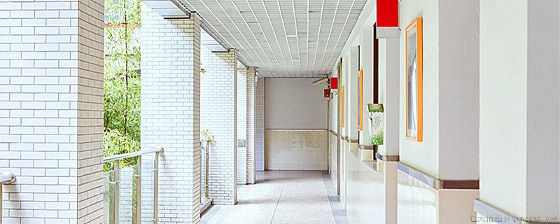小学教育主要学什么