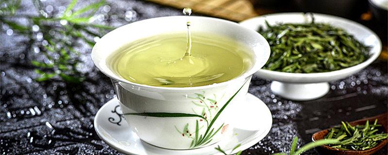 毛尖属于什么茶