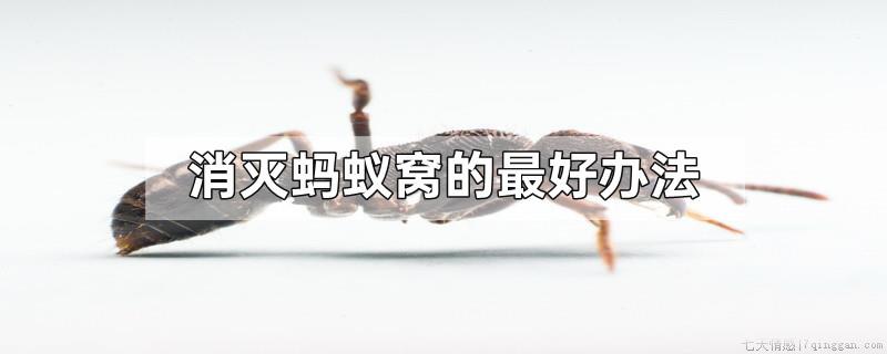 消灭蚂蚁窝的最好办法