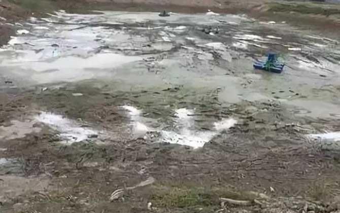 鱼塘消毒用什么最好